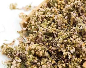 The choice of pot for Bougainvillea (Select the perfect pot for your Bougainvillea to make it more beautiful and lush)