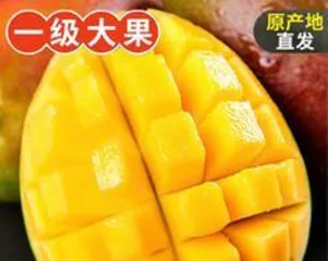 Unveiling the Origin of Hainan Mangoes (Exploring the Cultivation and Sales of Hainan Mangoes)