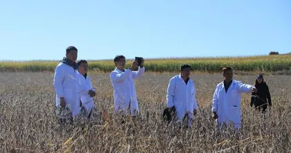 The Best Time to Plant Soybeans (Master the Key Months of Soybean Planting for Higher Yields)