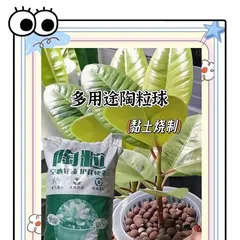 Fertilizing Techniques for Growing Plants with Pottery Pellets (Master the correct fertilization methods to create a healthy garden)