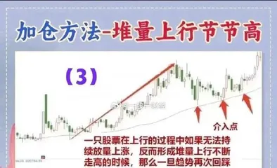 How to properly prune a Chinese lantern plant? (Master the key techniques to make the flowers more vibrant)