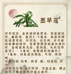 Is the leaf of the daylily poisonous? (Learn about the daylily leaf to protect your and your family's health.)