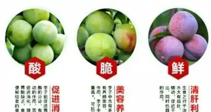 Exploring the Properties of Plums (Hot or Cool in Nature?)