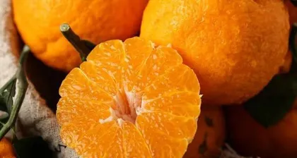 Analysis of the ripening time and market prospects of Ugly Fruit (2022 Ugly Fruit launch, set to become a new favorite in the high-end market)