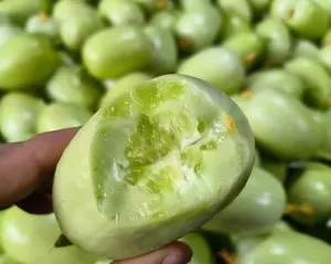 How to pick delicious and fresh cucumbers (Do you know these tips for picking cucumbers?)