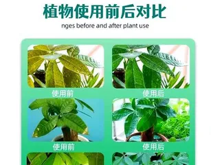 How to Use Money Tree Nutrient Solution Correctly (Intervals for Watering with Nutrient Solution and Usage Tips)