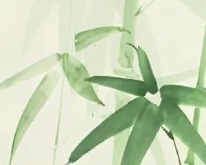 How to properly prune plants and trees to achieve growth (Master the correct pruning methods to create a beautiful courtyard)