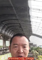 The Cutting Techniques and Methods of Ti Qi orchid (A Comprehensive Guide on How to Propagate Ti Qi orchid)