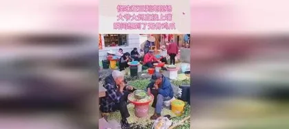 Quick Peeling Edamame Technique Revealed (Easily Master the Method, Making Peeling Simple and Effortless)