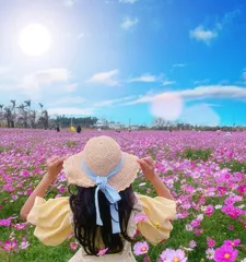 Explore the blooming period of the Gersang flower (How long does the Gersang flower bloom? How to appreciate the most beautiful Gersang flower?)