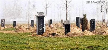 The Feng Shui and taboos of Hinoki trees (Suitable and unsuitable, understand the fate of Hinoki trees)