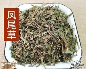 Discover the Amazing Medicinal Effects of Fiddleheads (Deepen Your Understanding of Fiddleheads' Functions and Benefits to Safeguard Your Health)