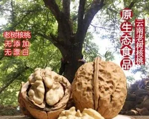 The growth environment of walnuts (finding suitable cultivation sites for walnuts)