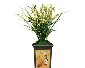 The flowering period and time of Jianlan (Cymbidium goeringii) (How many times does it bloom in a year? What are the flowering months?)