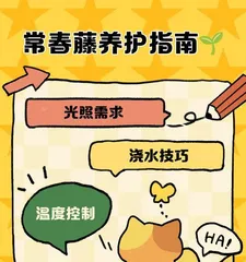 How to Properly Repot Ivy Too Dense (Teaching You the Techniques and Precautions for Repotting Ivy)