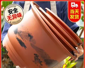 How to Properly Plant Flowers in Pots (A Planting Guide to Help You Create a Charming Garden)