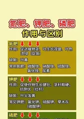 The Secret to Making Nitrogen, Phosphorus, and Potassium: Master the Key Steps to Create the Secret Weapon for a Bountiful Harvest