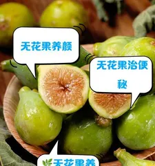 Analysis of the Propagation and Growth Process of Figs (Unveiling the Life Mystery of Figs, Exploring the Mysteries of Reproduction and Growth)