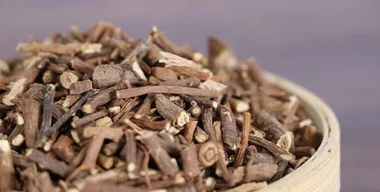 Explain the growth environment conditions and characteristics of Bupleurum.