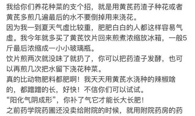 建兰如何浇水才健康?(养护建兰的小技巧及注意事项)2