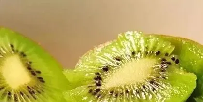 How to grow fruit seeds, planting and care techniques for fruit seeds 2