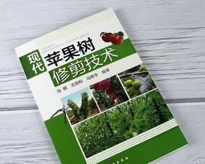 Apple Fruiting Period Maintenance and Management Methods (Master Apple Fruiting Period Knowledge, Do a Good Job in Fruit Tree Maintenance) 2