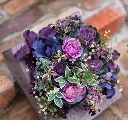 The Care Method for Calendula (Keeping Your Calendula Healthy)