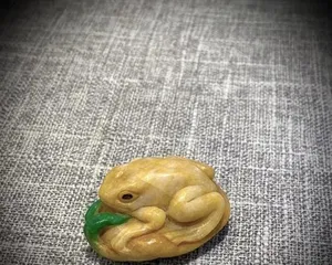 Is the Lucky Plant toxic for home decoration? (Safe cultivation, enjoy with peace of mind) 3