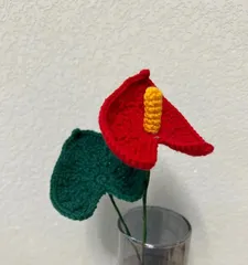 Methods and Precautions for Anthurium Cuttings (From Material Selection to Care, Step-by-Step Guide to Successfully Propagating Anthuriums) 3