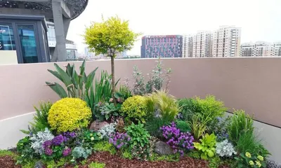 Terrace Planting Guide (Creating a Green and Ecological Living Environment, Making Your Terrace More Beautiful)