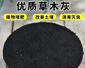 The Journey of Succulent Care with Wood Ash (Usage Methods and Precautions for Wood Ash)