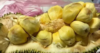 The Three Major Differences Between Jackfruit and Durian (Exploring the distinctions between jackfruit and durian from three perspectives: appearance, flavor, and efficacy)