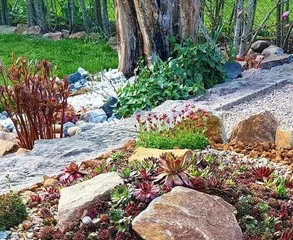 Plant Selection and Maintenance on Sandy Soil (How to Plant Healthy Plants on Sandy Soil?)