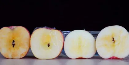 The Complete Secret of Apple Flesh Color (From Green to Red, The Great Revelation of Apple Flesh Color)