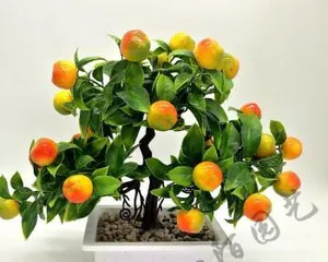 Potted Apple Tree Pot Selection and Management Techniques (How to Choose the Right Pot for Potted Apple Trees)