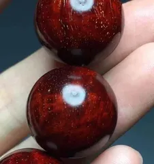 An Exploration of the Water Nature of Indian Red Sandalwood (From Water-Loving Characteristics to Care Techniques, Mastering the Water Secrets of Indian Red Sandalwood) 2