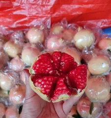 Exploring the Medicinal Value and Nutritional Benefits of Sour Pomegranates (Heavyweight Interpretation of the Amazing Power of Sour Pomegranates, Keeping You Healthy Without Worry)