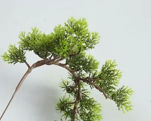 Care methods for pine needle tree bonsai (creating a fresh and natural style space)