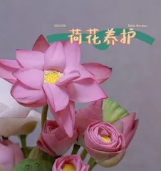 Lotus Care Ultimate Guide (Mastering Lotus Cultivation Methods and Care Tips)