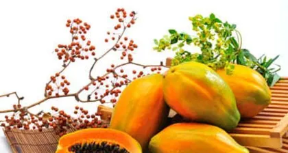 Can the bitterness of papaya be eaten? Analysis of mannitol in papaya (Exploring the cause of papaya's bitterness and edible methods, the health benefits of mannitol)