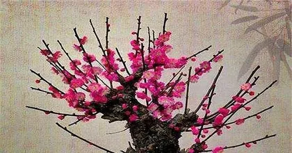 Growing Plum Trees at Home: Step-by-Step Guide to Creating a Beautiful Garden (From Choosing Plum Varieties to Maintenance)