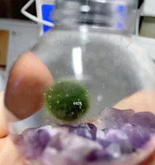 The Care and Puffing Techniques for Algae Balls (Creating Highlight Creatures in Aquariums - Algae Balls)