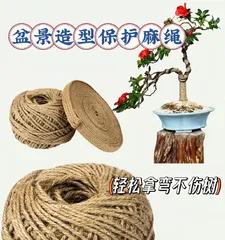 How to Weave Wire Around Bonsai (Master Key Techniques to Create Unique Bonsai Art)