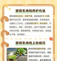 Succulent Peach Watering Techniques (Understand the Water Needs of Succulent Peaches, Water Reasonably to Care for Your Succulent Peach Tree) 2