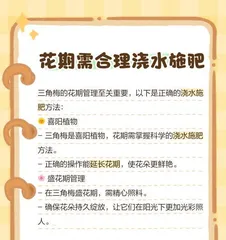 Scientific Watering Methods for Bougainvillea in Summer (Keeping Your Bougainvillea Healthy and Thriving in the Hot Season)