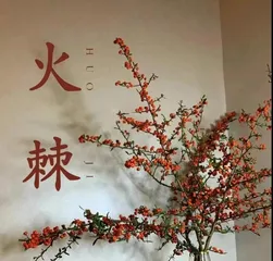 Indoor Pyracantha Care Guide (Create a Beautiful Indoor Green Space) Part 3