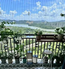 Plant Care Guide for Balconies Without Light (Planting Techniques and Tips to Solve the Lack of Sunlight Problem)