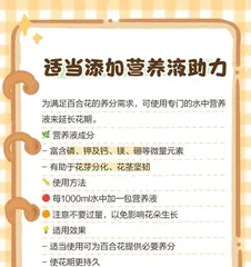 How to Care for Fresh Lily Bulbs (Lily Care Tips Unveiled, Easily Create a Sea of Blooms!)