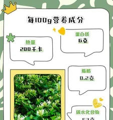 The Techniques and Key Points of Growing and Caring for Honeysuckle (The Secret to Creating a Beautiful Garden)