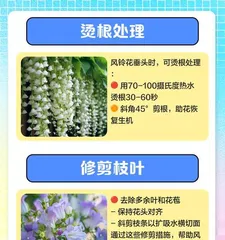 Drooping Flower Leaves, How to Make Them Stand Up Again? (Using Proper Care Methods to Revive Drooping Leaves) 3